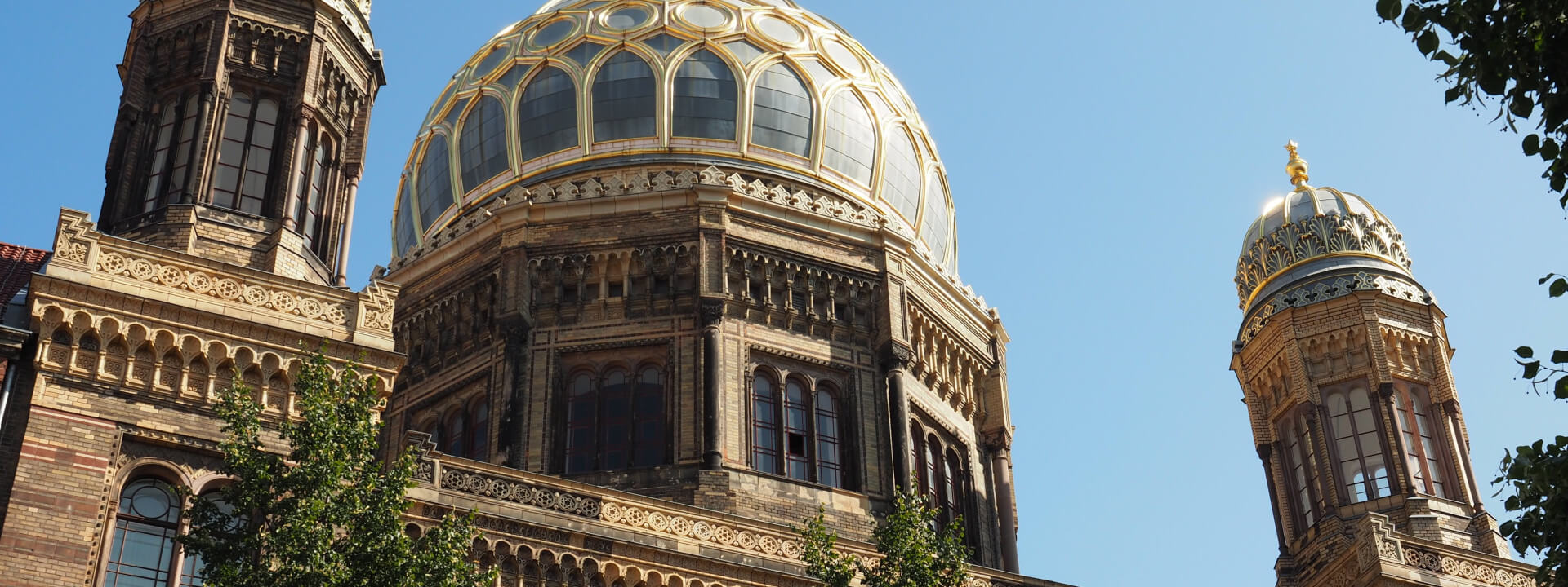 MS-Symposium 2026 | Aktuelles zur Therapie der Multiplen Sklerose und angrenzender neuroimmunologischer Erkrankungen cover image